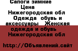 Сапоги зимние Elit › Цена ­ 1 000 - Нижегородская обл. Одежда, обувь и аксессуары » Женская одежда и обувь   . Нижегородская обл.